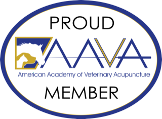 AAVA Logo