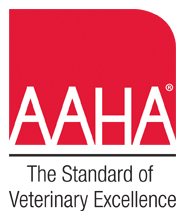 AAHA Member