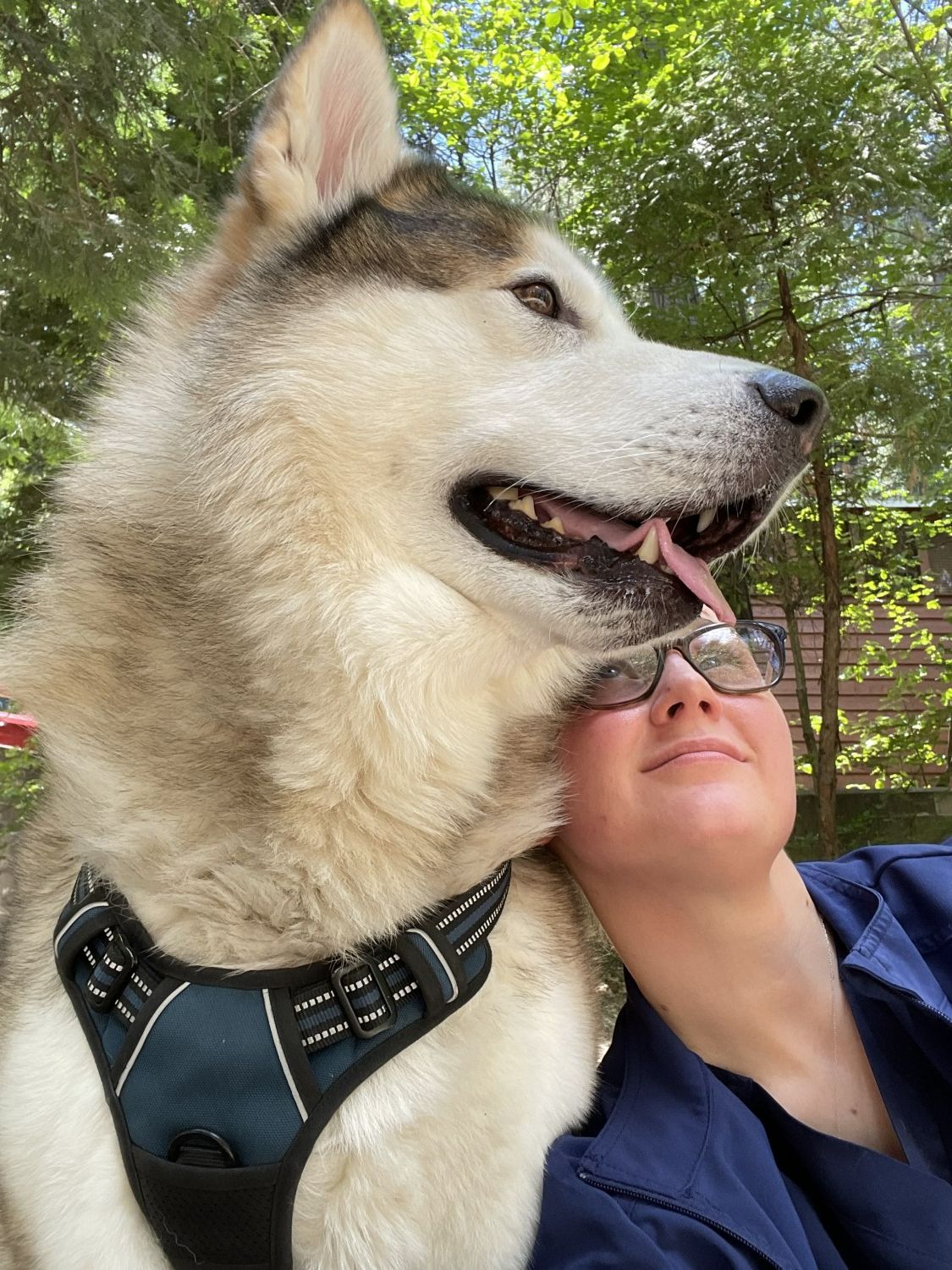 Erica with large husky